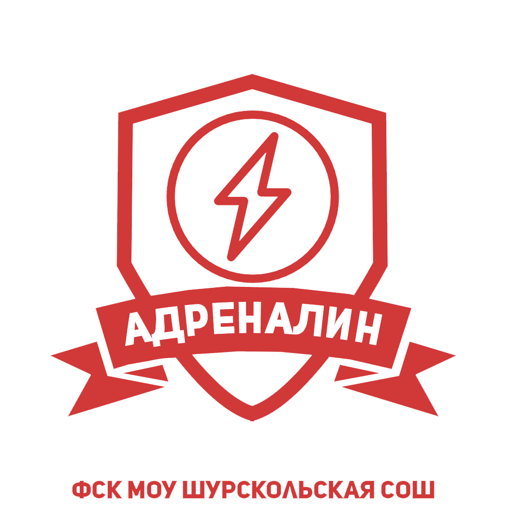 Школьный спортивный клуб «Адреналин» | МОУ Шурскольская СОШ